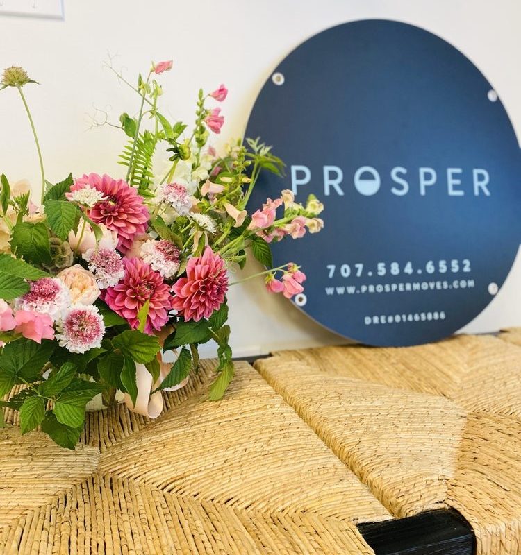 Top Real Estate Listing Agent in Sebastopol, CA, Shares Essential Steps for Preparing a Home Before Listing